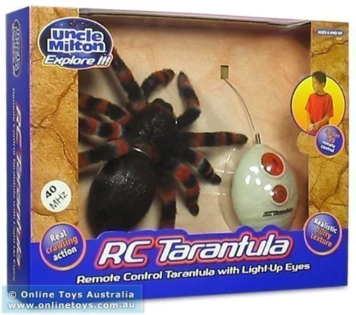 15877 educational tarantula toy