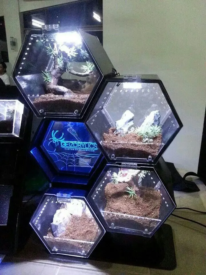 15882 tarantula enclosure