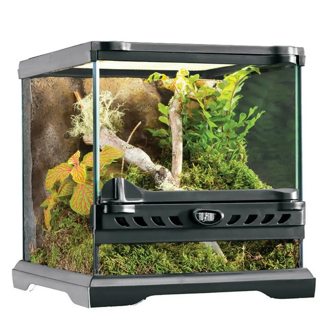 15882 tarantula handling