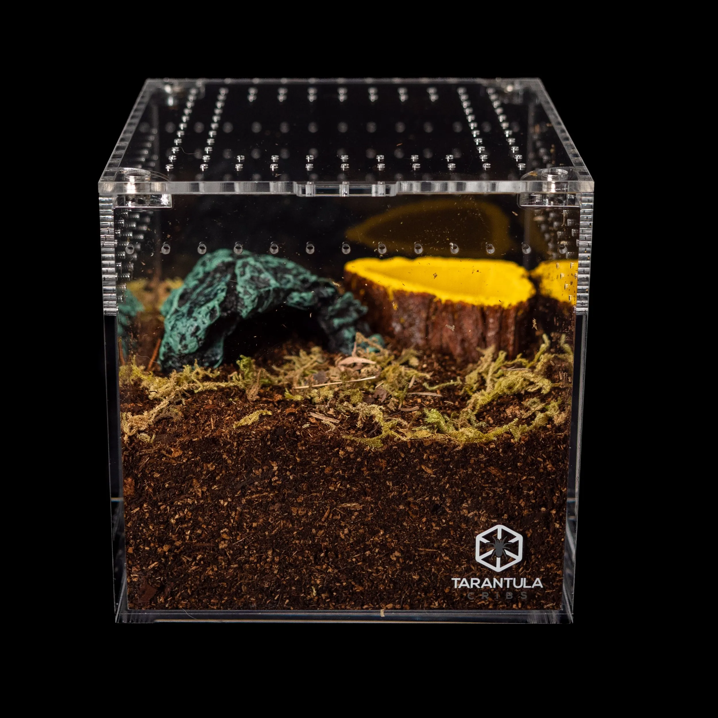 15882 tarantula substrate