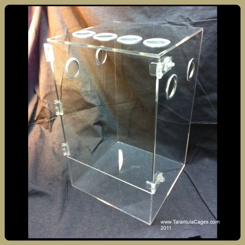/img/15886-cleaning-tarantula-cage.webp