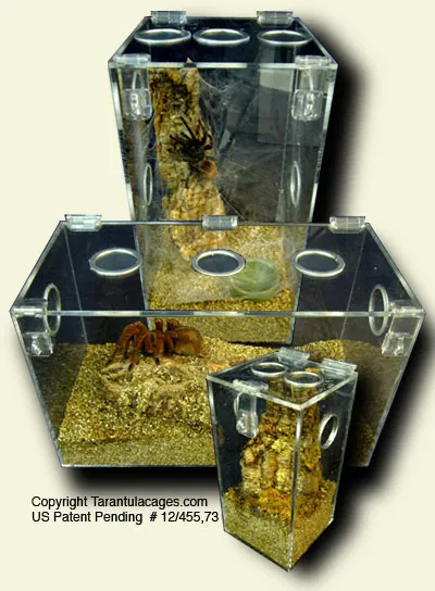 15886 tarantula cage overview