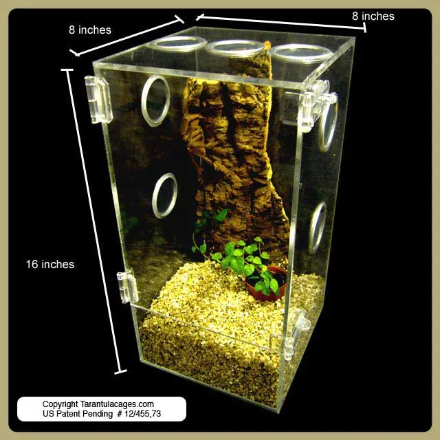 15886 tarantula heating
