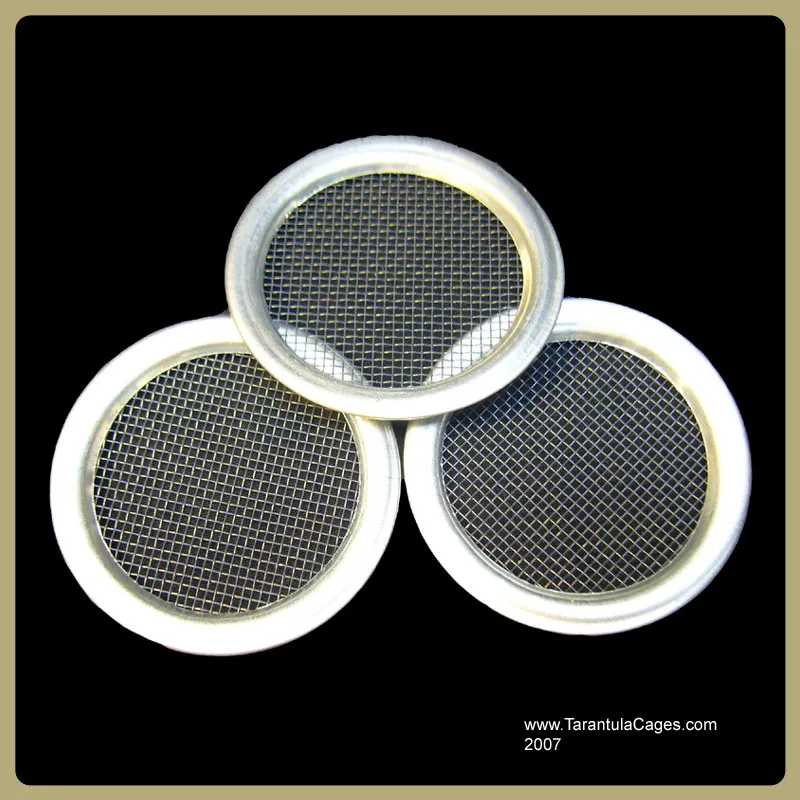 15886 tarantula size cage