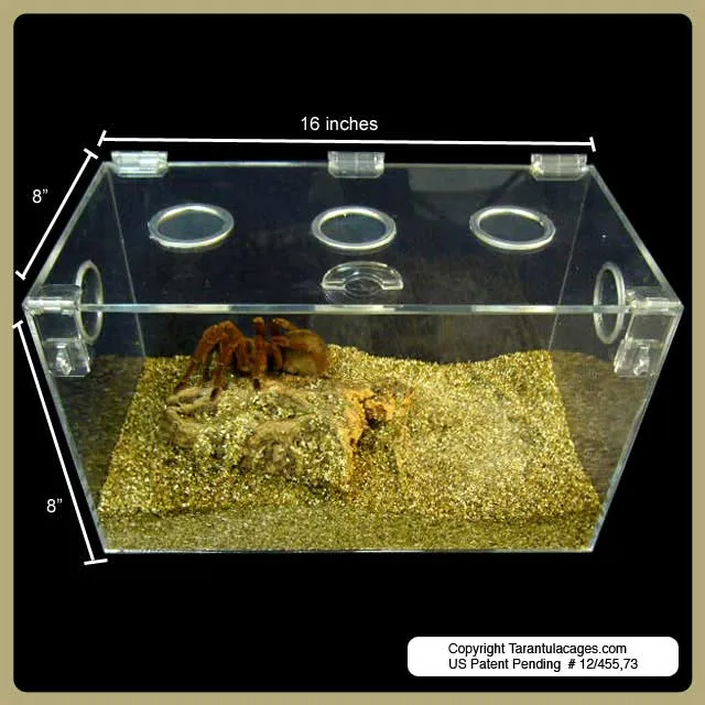 15886 tarantula ventilation
