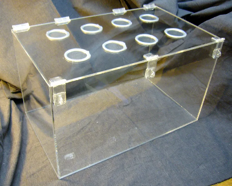 15886 tarantula water dish