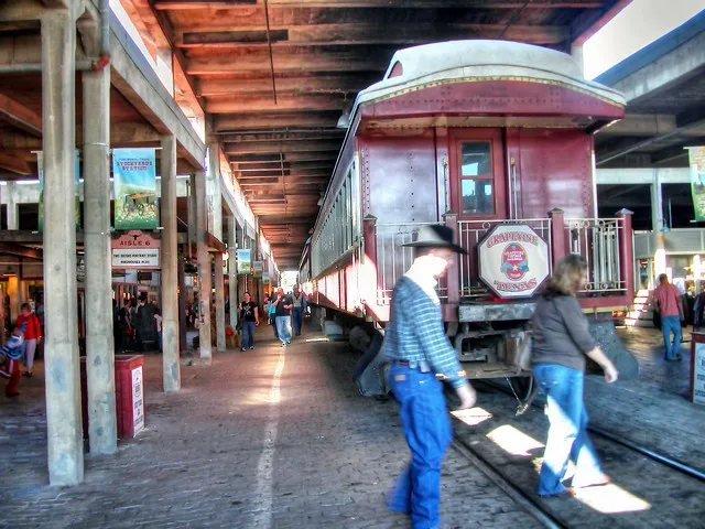 15891 tarantula train scenic view