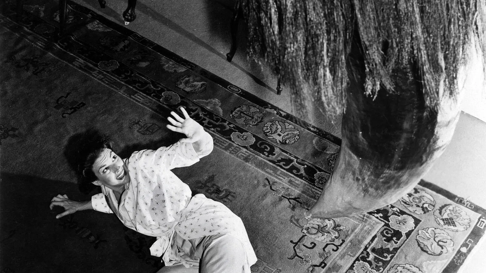 15933 tarantula feeding