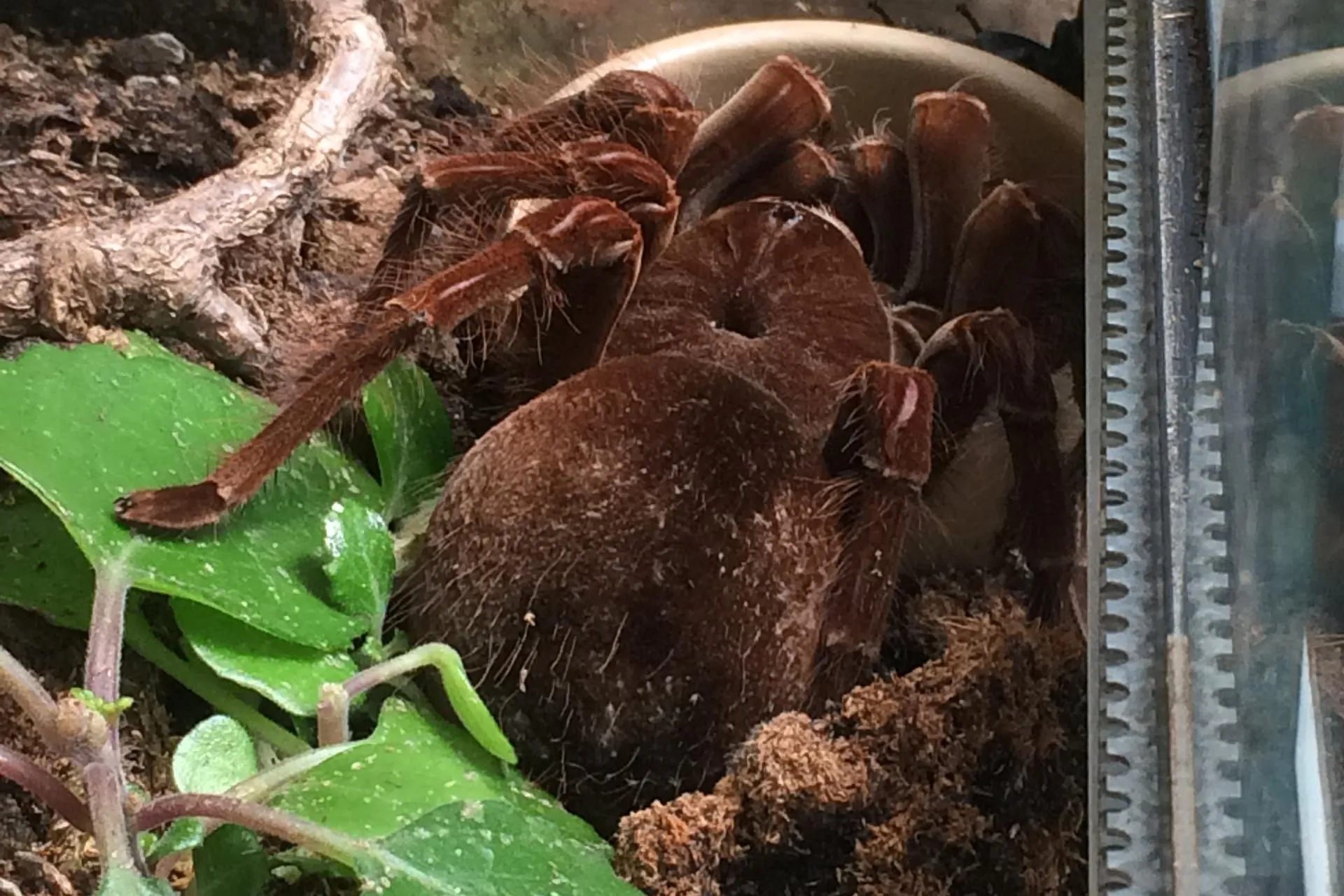 15943 research techniques