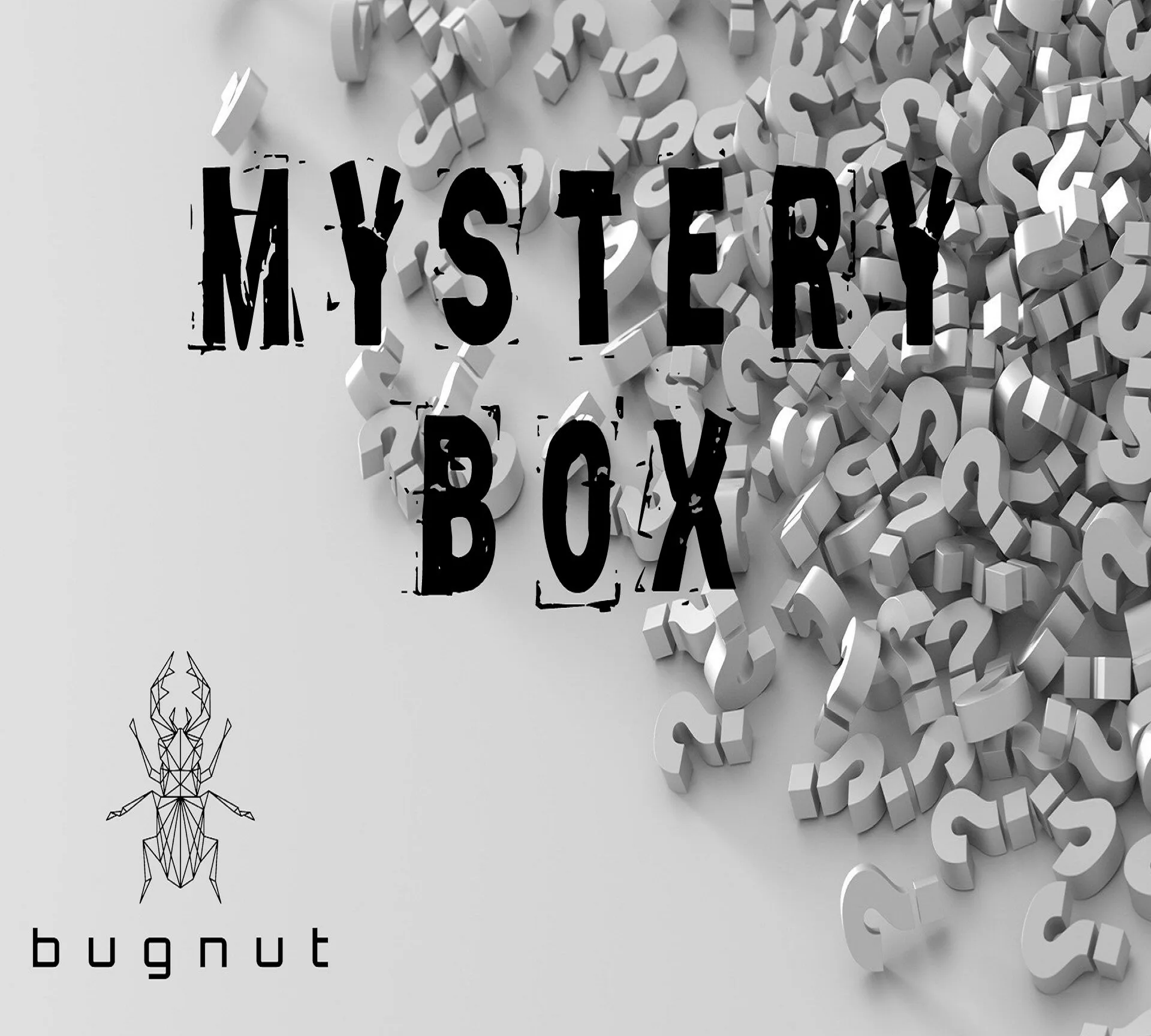 15954 tarantula mystery box uk species