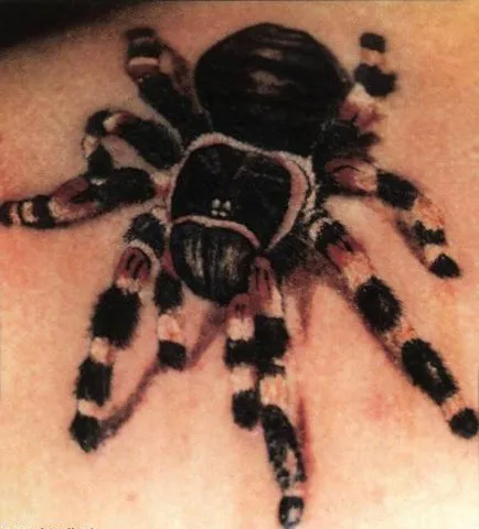 15970 realistic tarantula tattoo