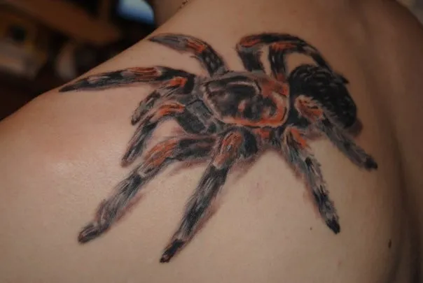 15970 tribal tarantula tattoo