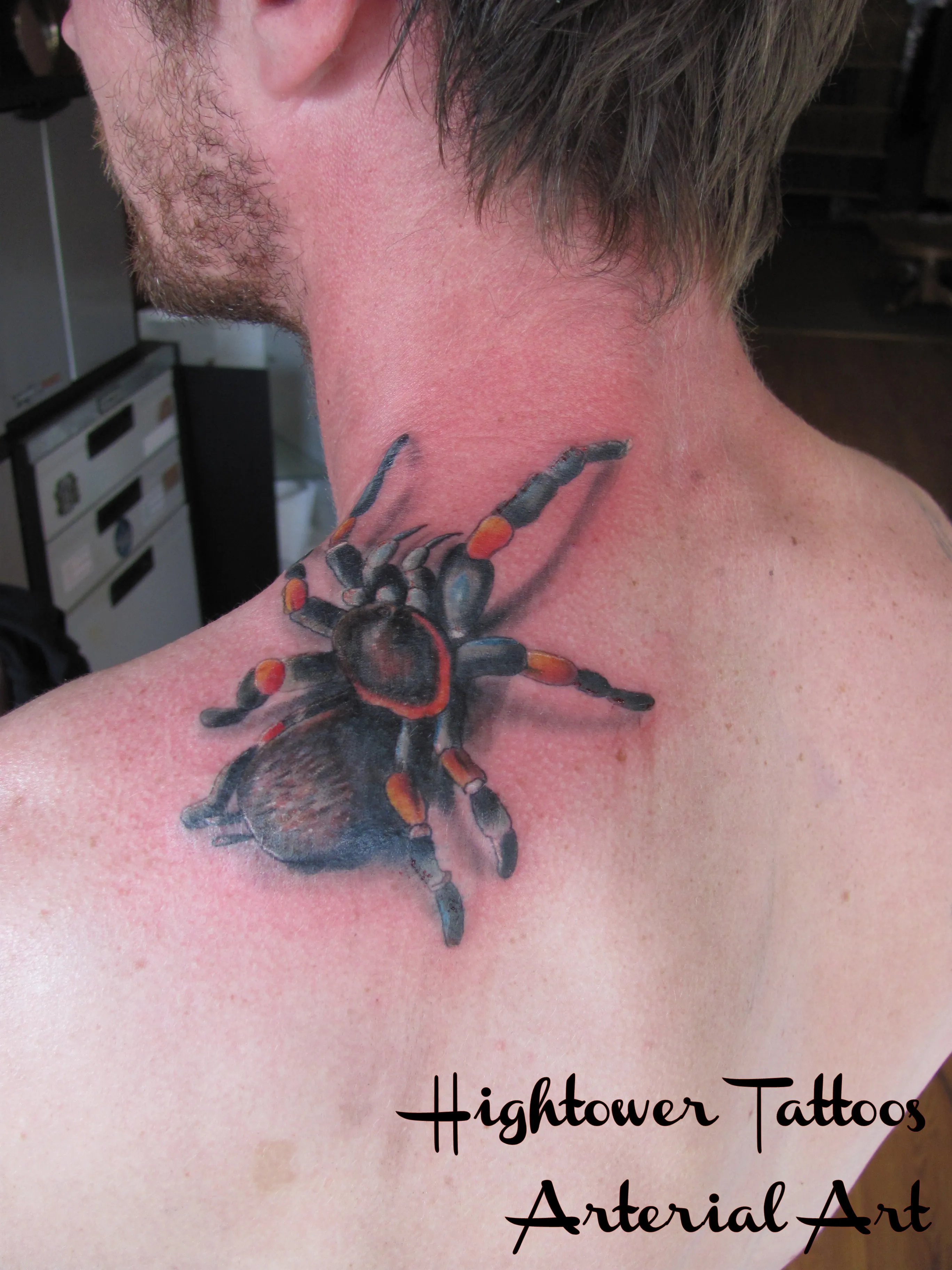15970 watercolor tarantula tattoo