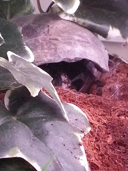 15984 online marketplaces