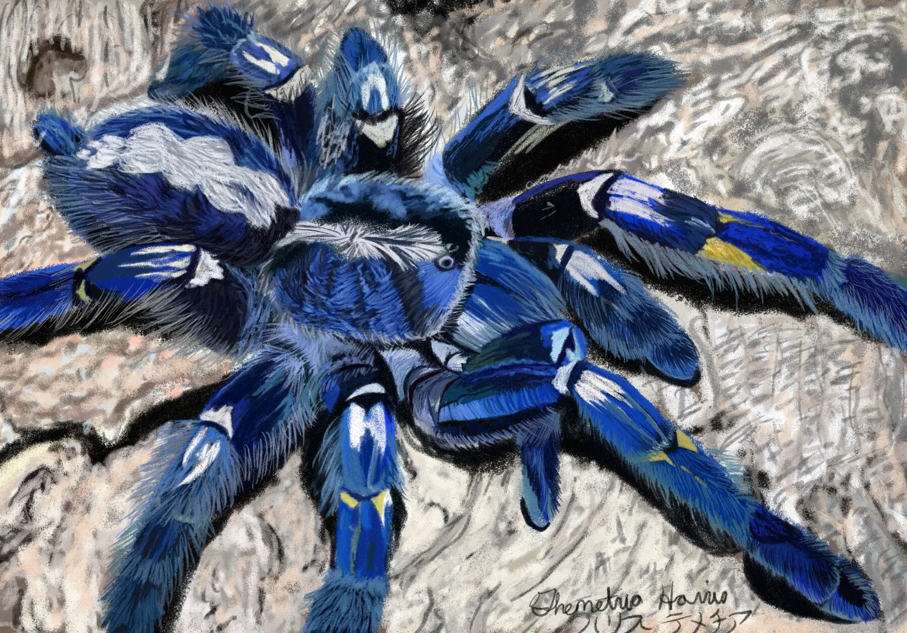 /img/15989-blue-tarantula-health.webp