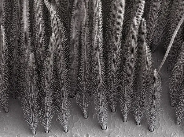 15992 synthetic hair chemical