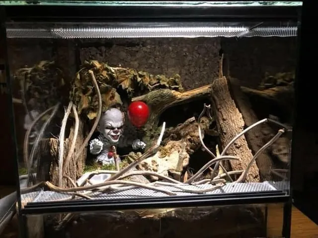 15998 clean up crew bioactive terrarium