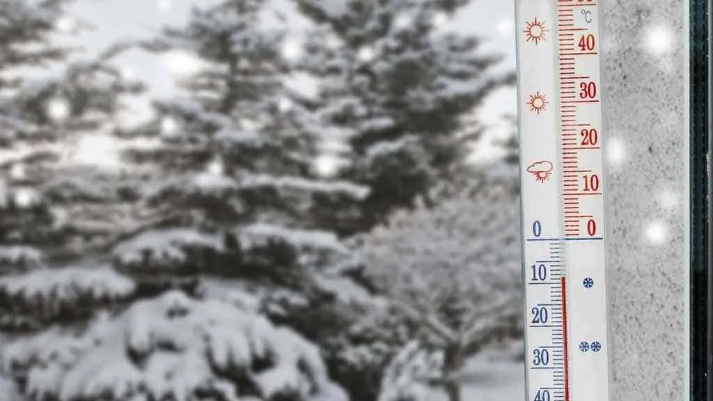 16001 tarantula species