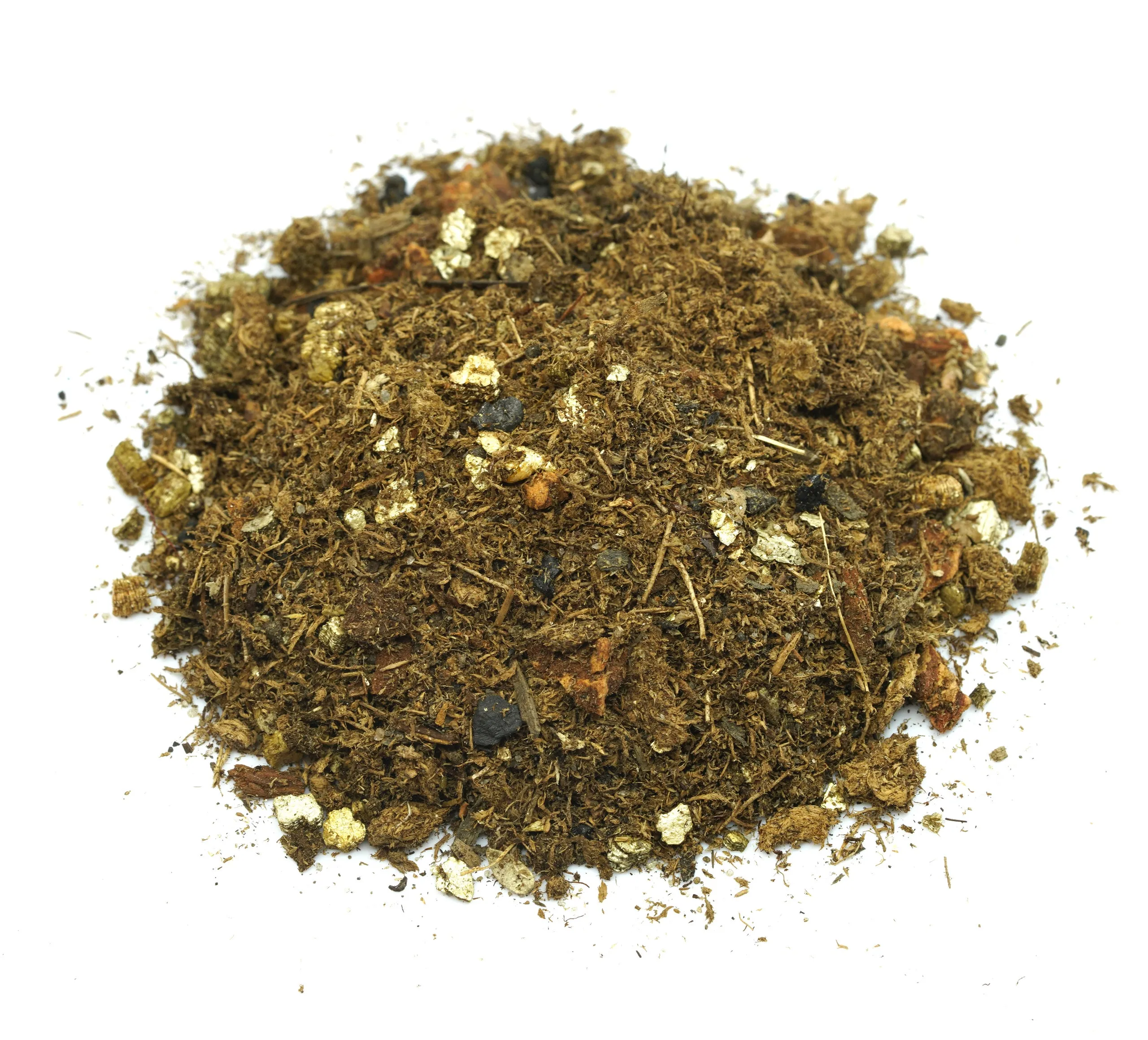 16010 tarantula in enclosure