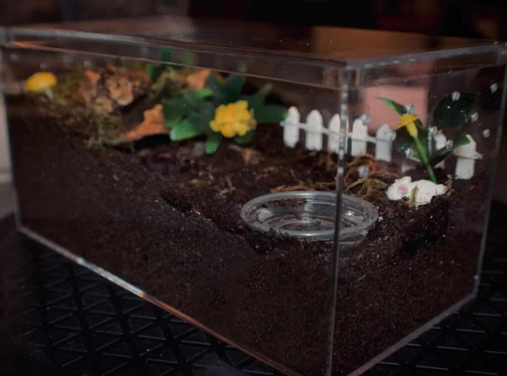 16012 tarantula humidity control