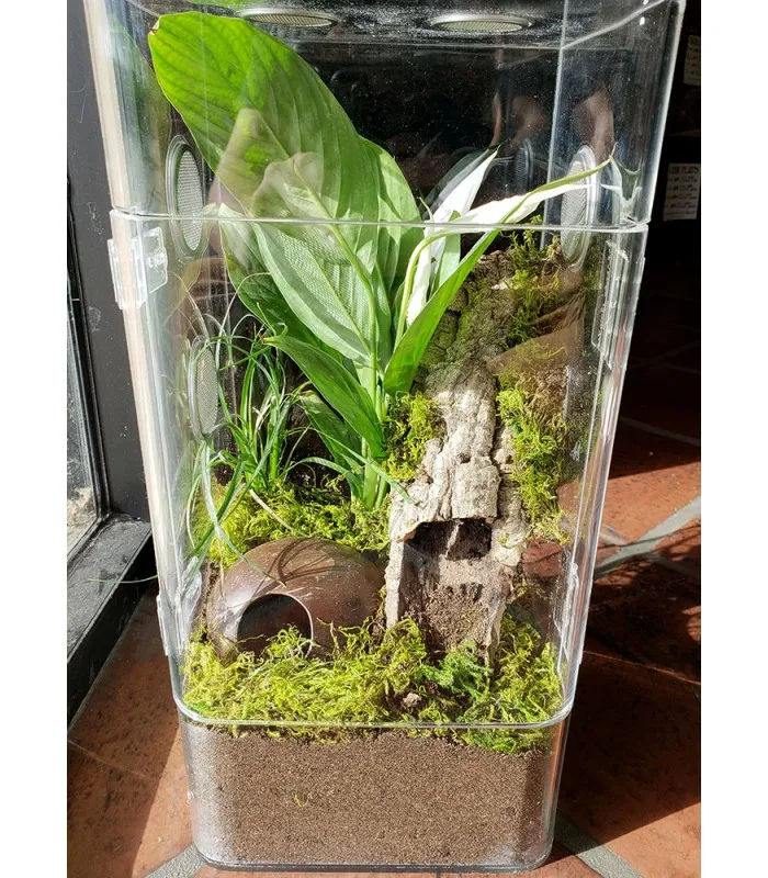 16012 tarantula ventilation