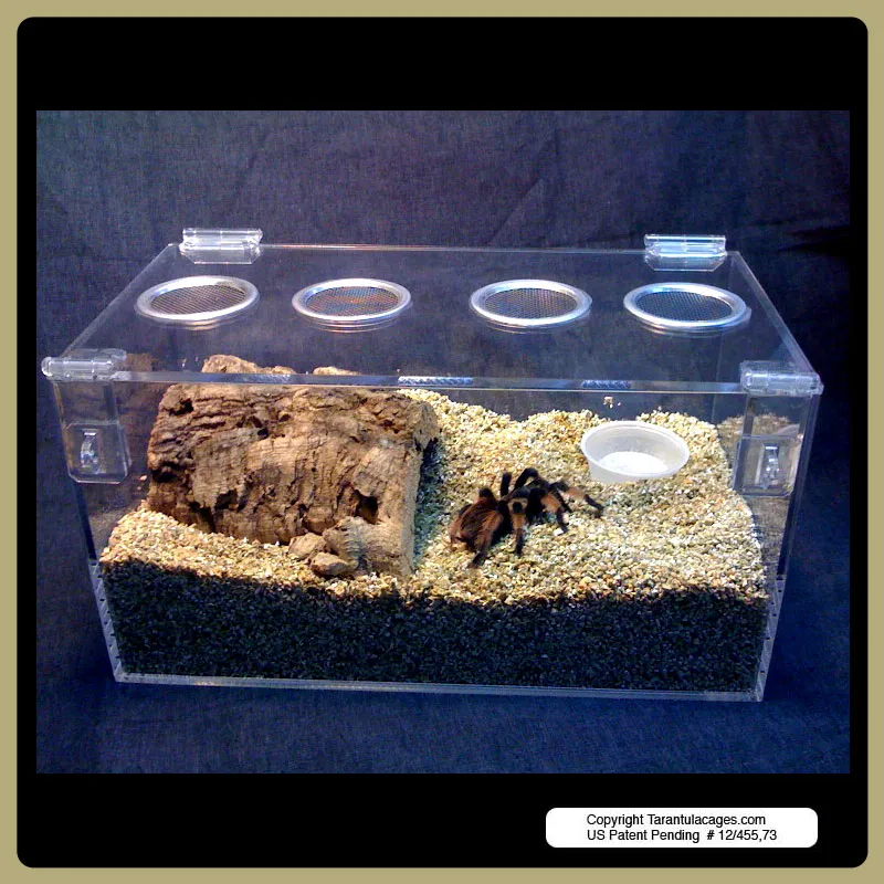 16014 tarantula cage overview