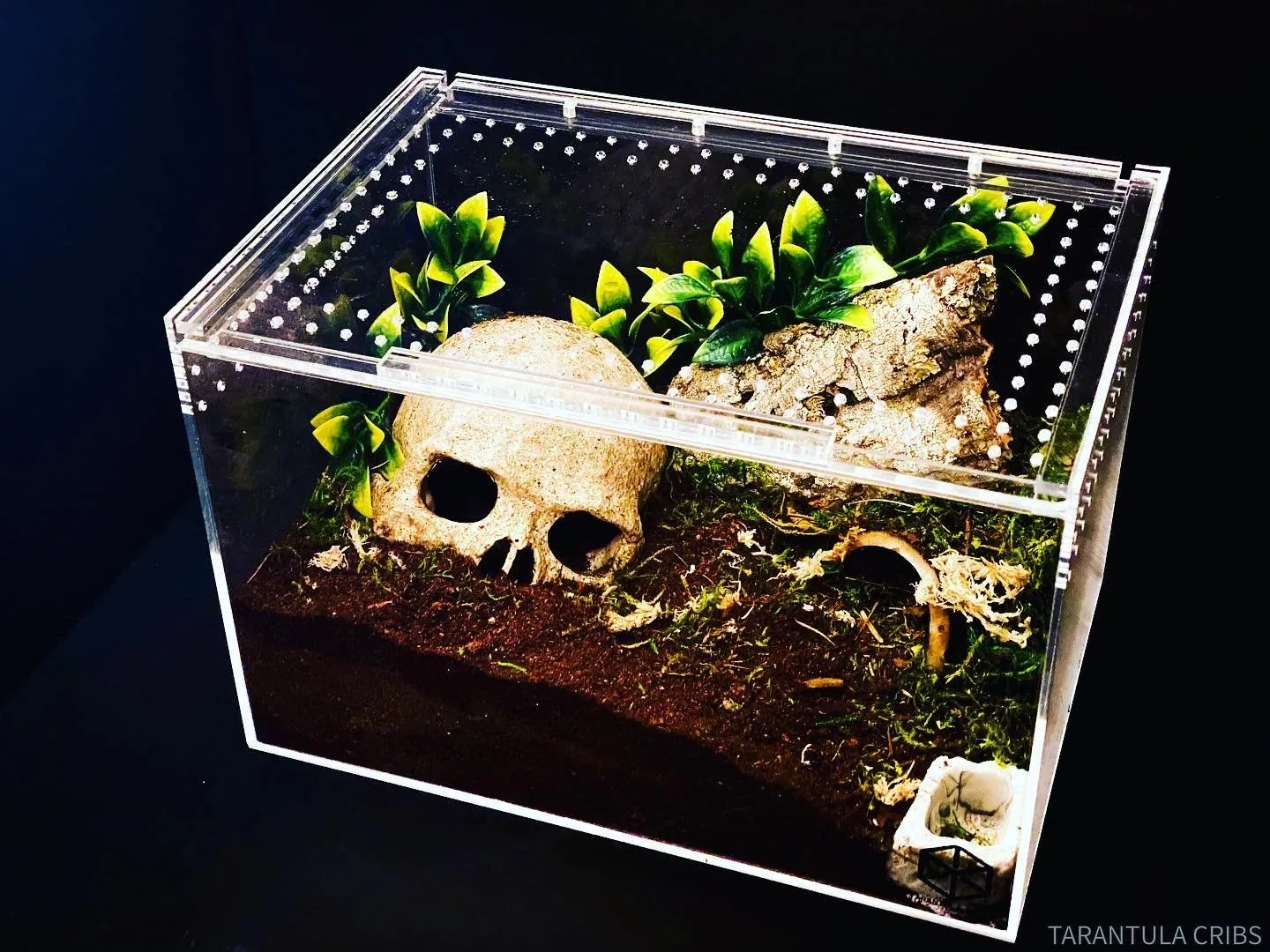 16014 tarantula substrate options