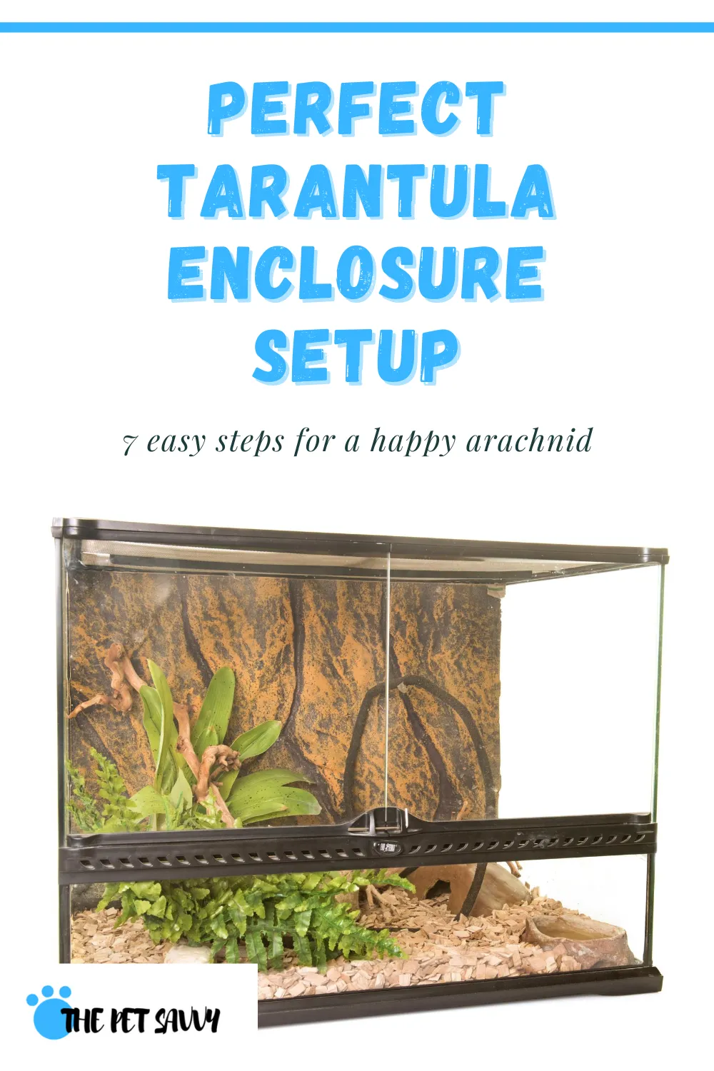 16014 tarantula water dish