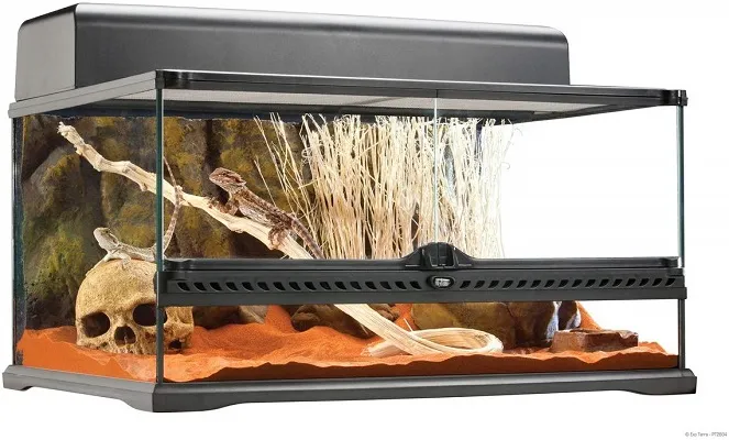 16016 tarantula enclosure ks2 2