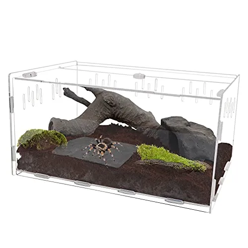 16016 tarantula enclosure ks2 5