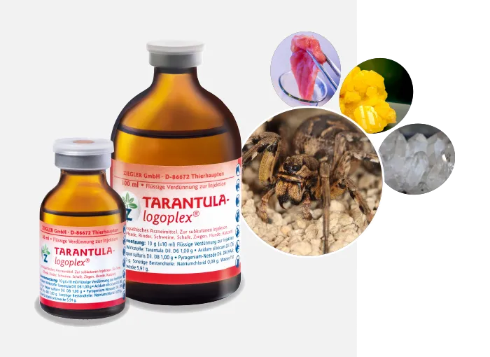 16020 tarantula tumor overview