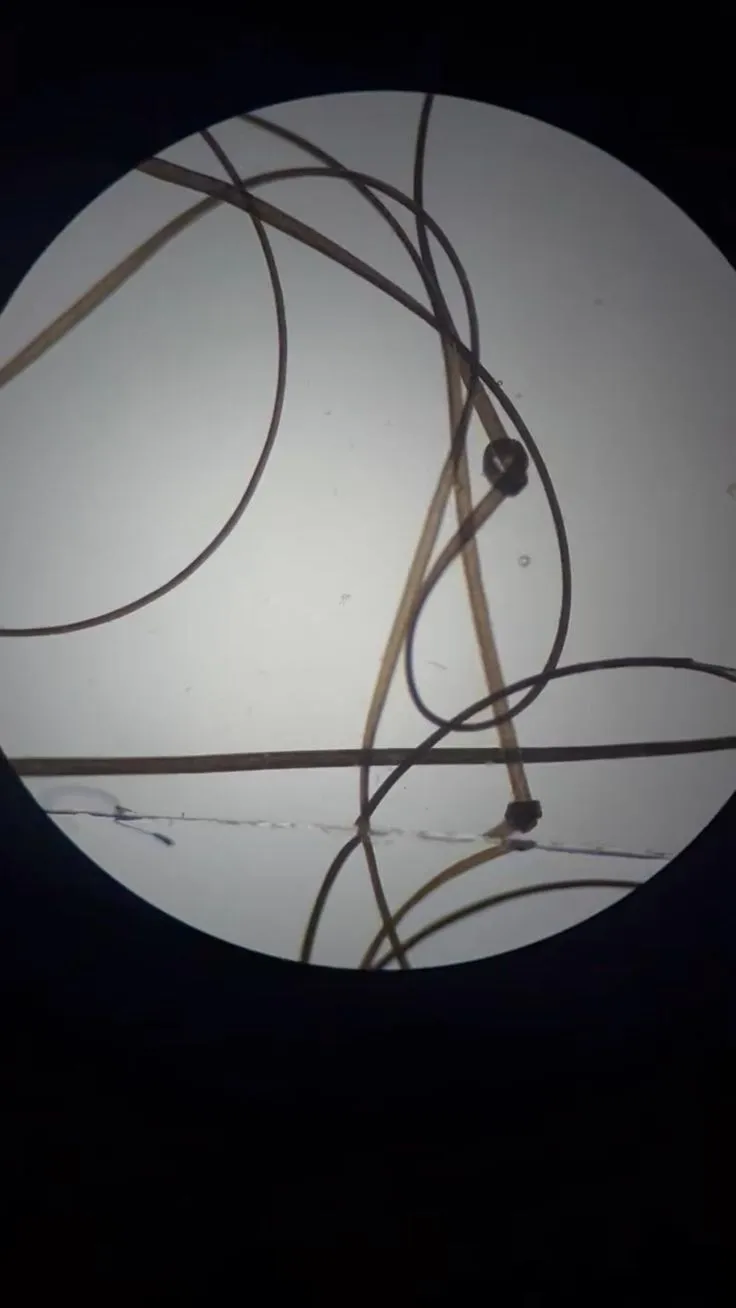 16034 microscope types