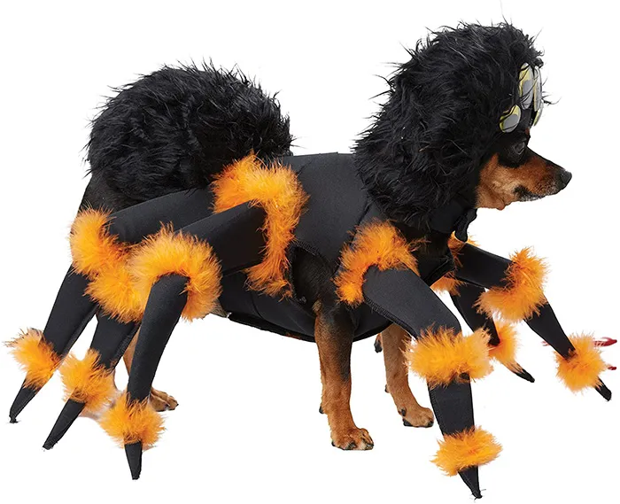 16037 dog tarantula costume xl 4