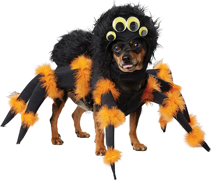 16037 dog tarantula costume xl 5