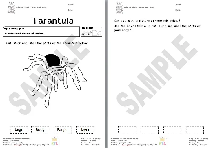 /img/16041-tarantula-quiz-7.webp