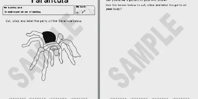 /img/16041-tarantula-quiz-7.webp