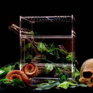 16045 tarantula enclosure 3