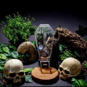 16045 tarantula enclosure 4