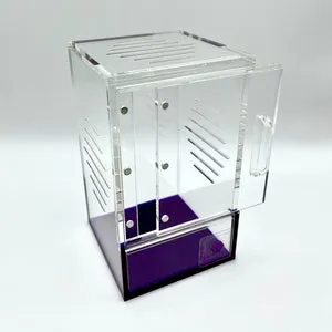 16045 tarantula feeding