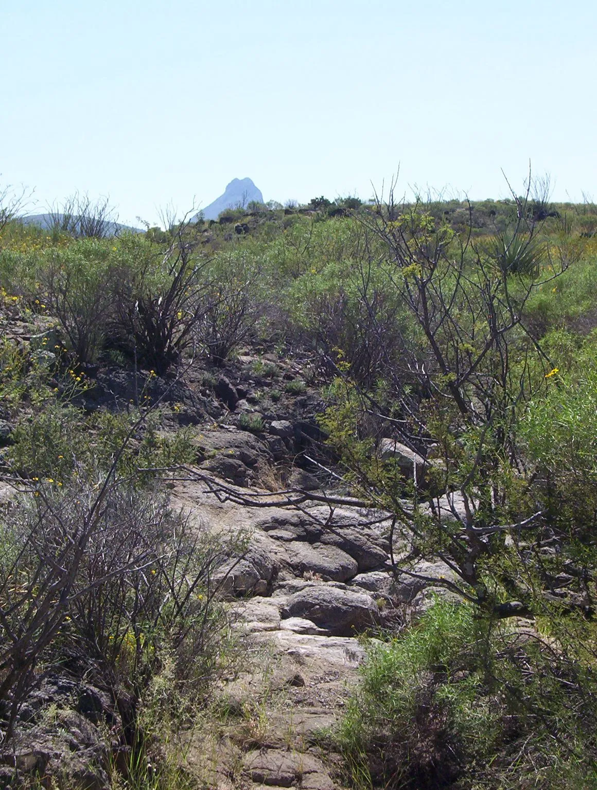 /img/16060-tarantula-ranch-terlingua-tx-7.webp