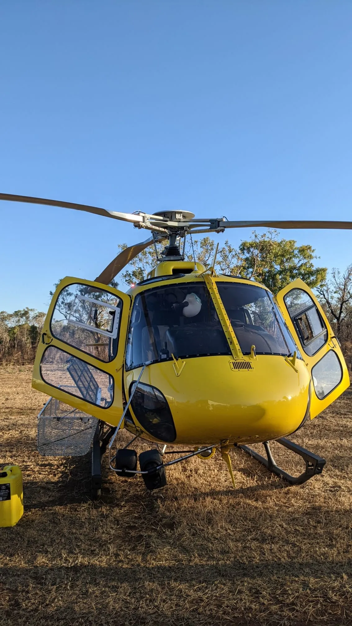 16077 tarantula behavior observation