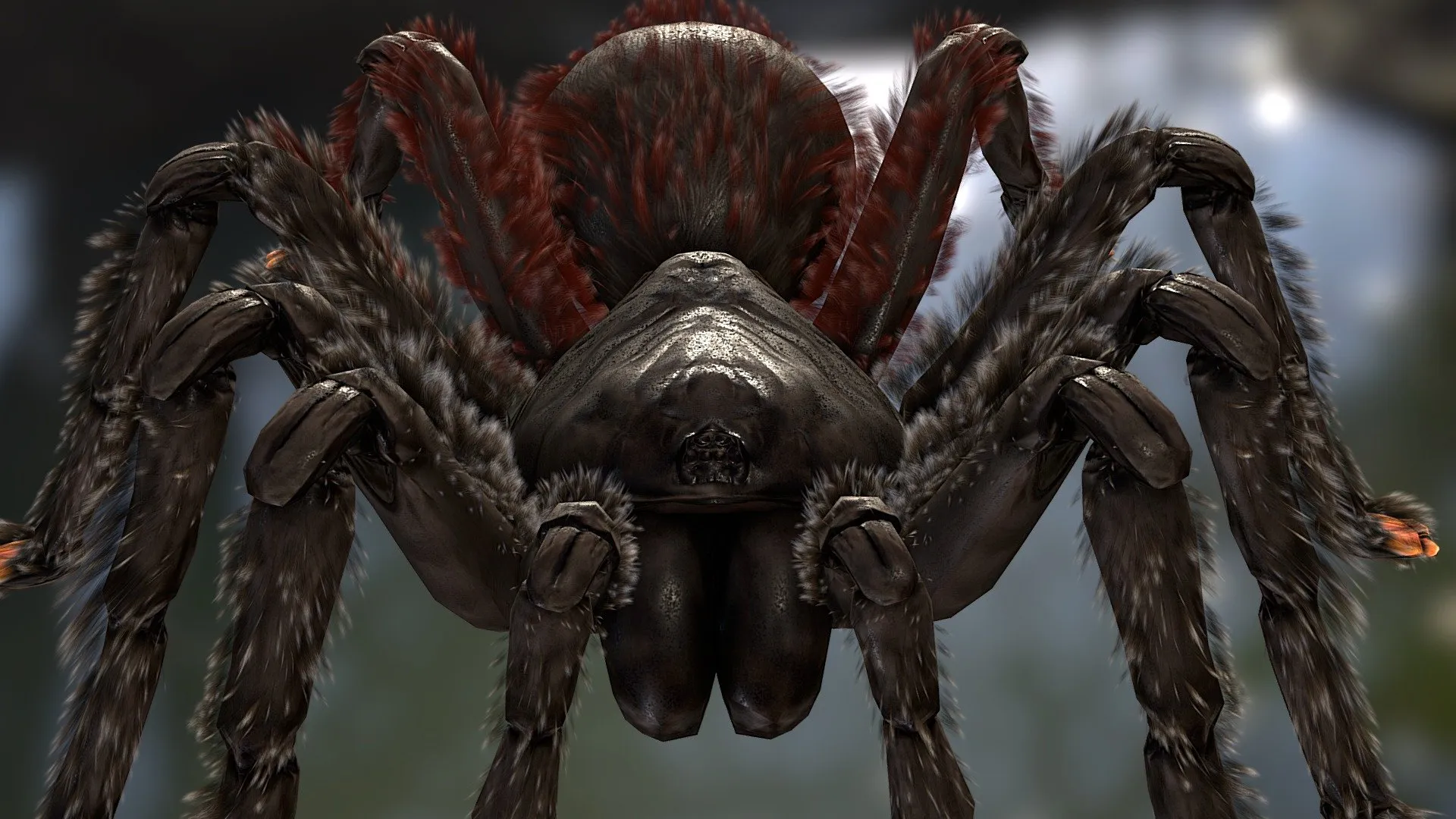 16081 baby pink toe tarantula feeding