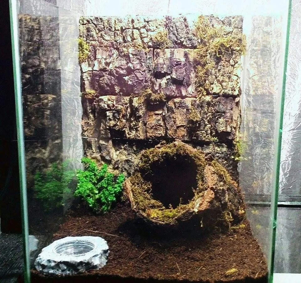 16082 tarantula enclosure substrate