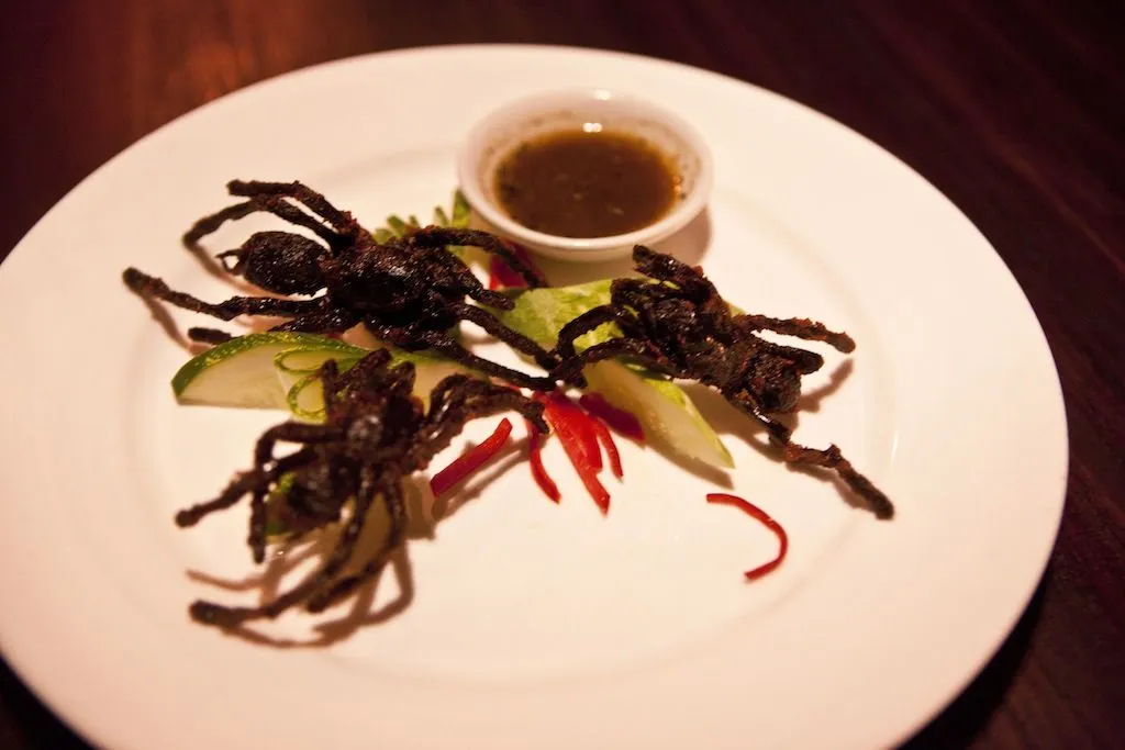 16083 cambodia tarantula size prey