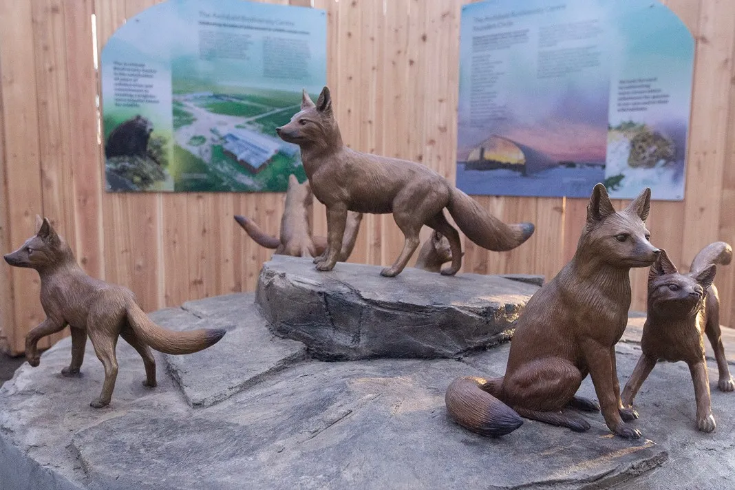 16102 tarantula diet