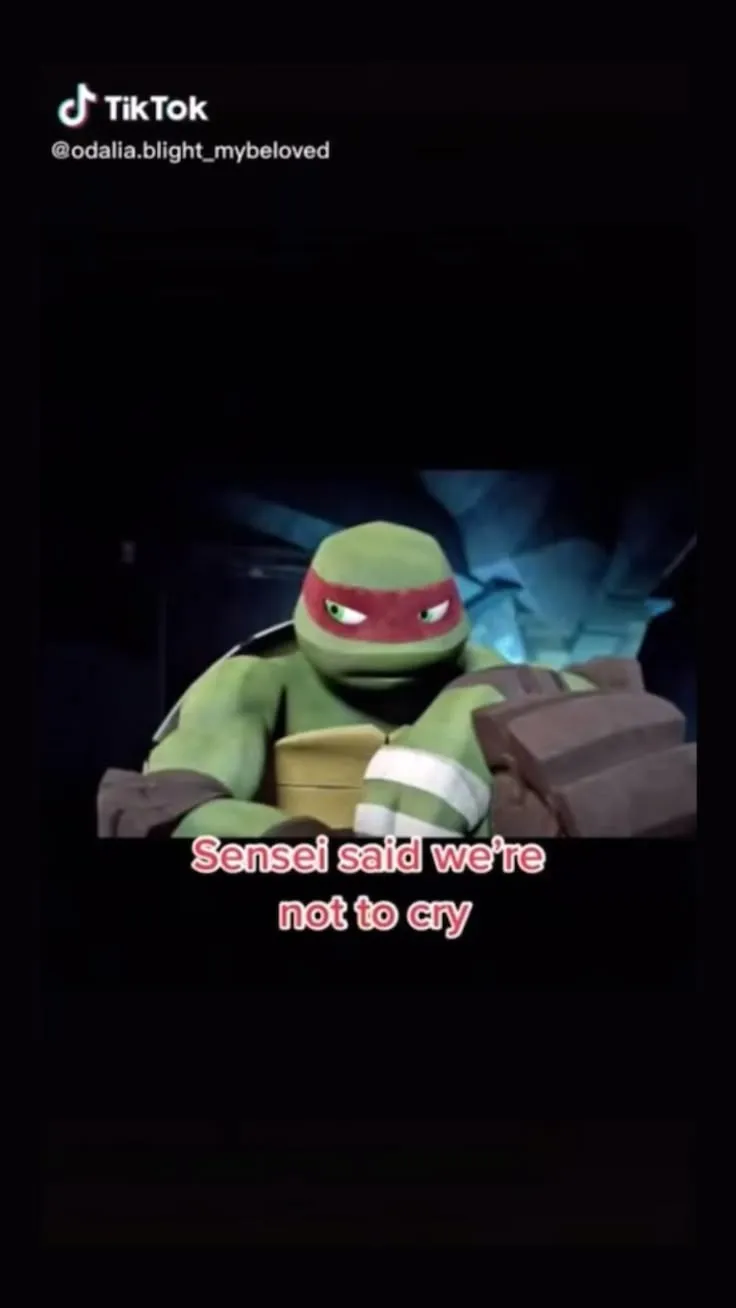 16117 emotional music concert