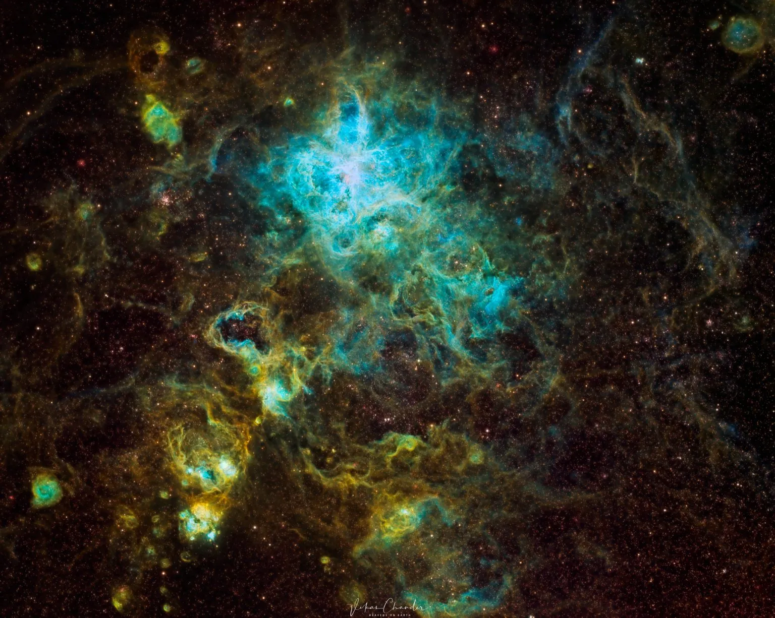 16123 tarantula nebula age