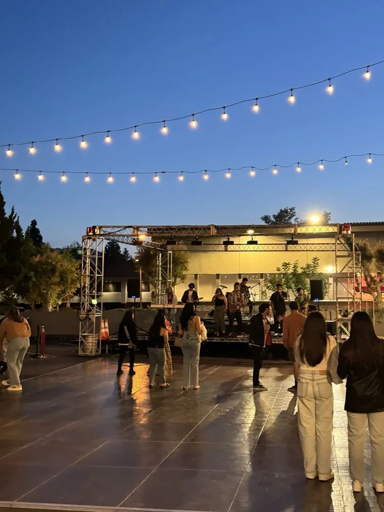 16137 tarantula hill brewery taproom experience