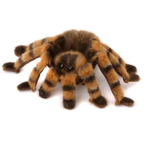 16148 tarantula habitat