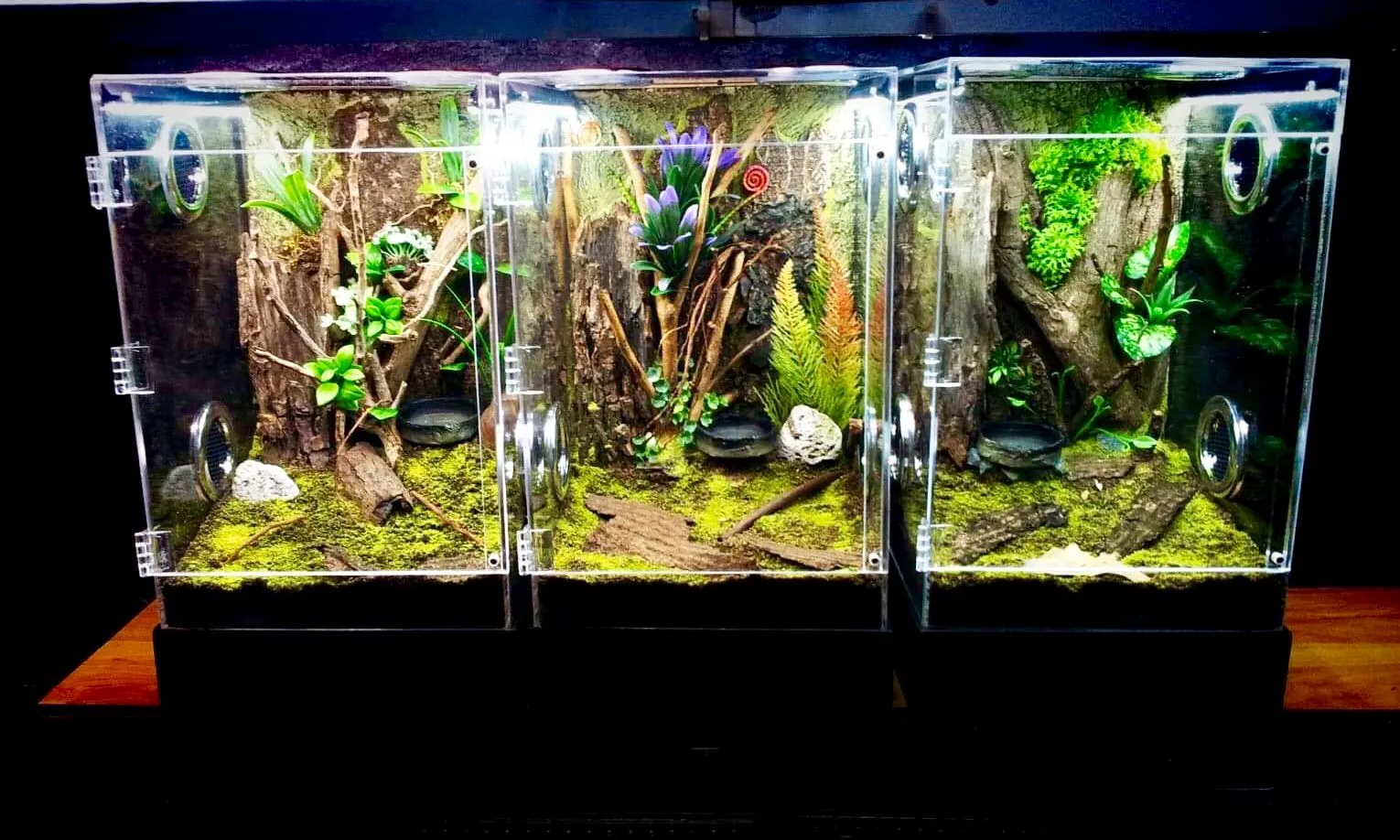 16161 tarantula enclosure size